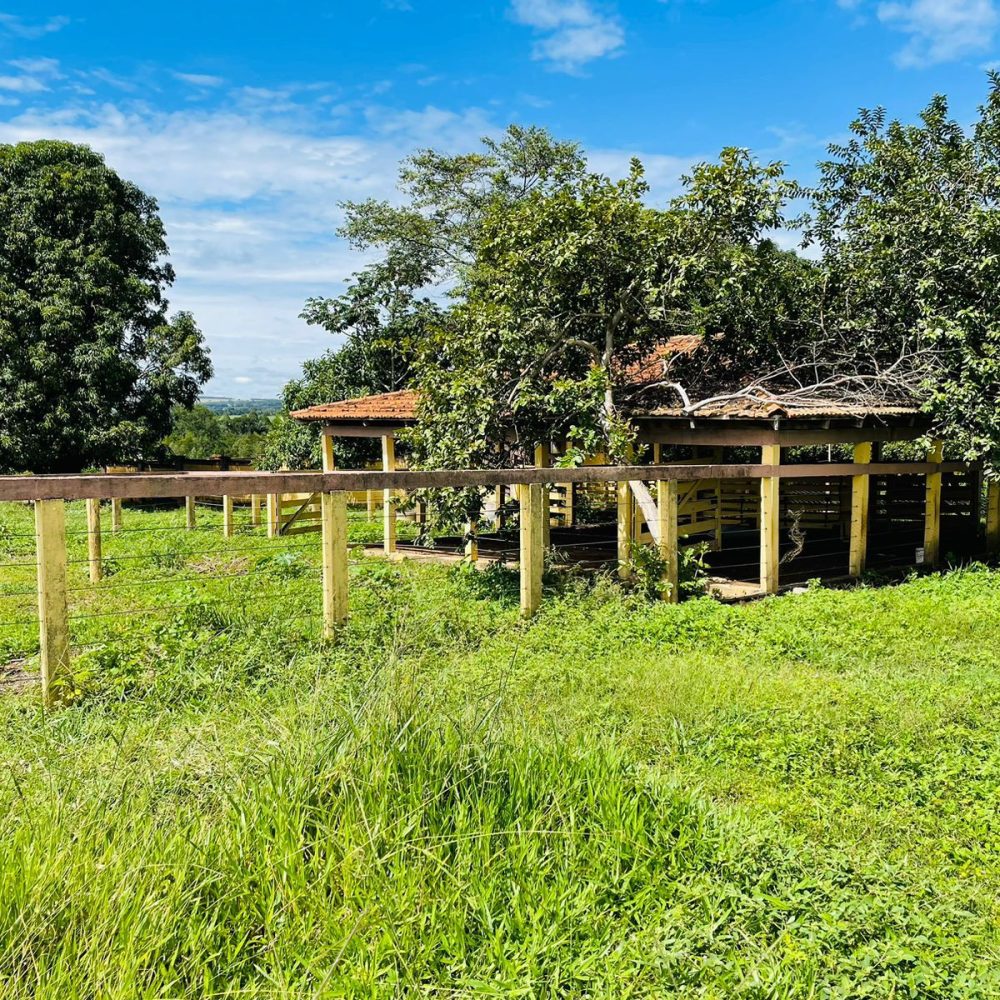 CHACARA-EM-ARAGOIANIA-COM-AREA-DE-10-2