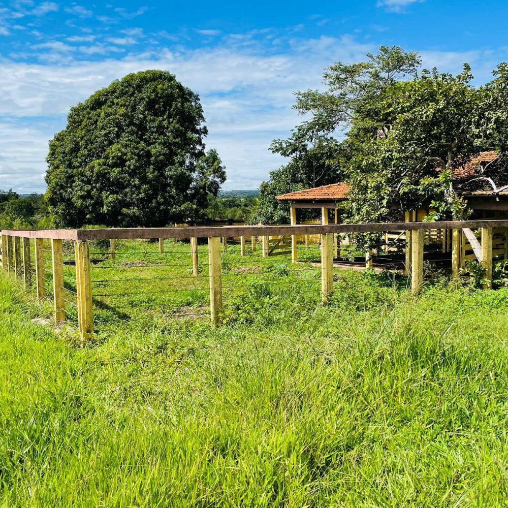 CHACARA-EM-ARAGOIANIA-COM-AREA-DE-10-5