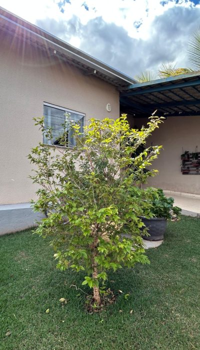 Residencial-Tocantins-Bairro-Alvorada-em-Senador-Canedo-13