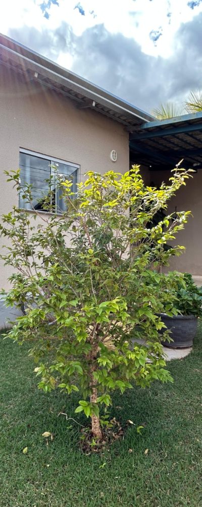 Residencial-Tocantins-Bairro-Alvorada-em-Senador-Canedo-13