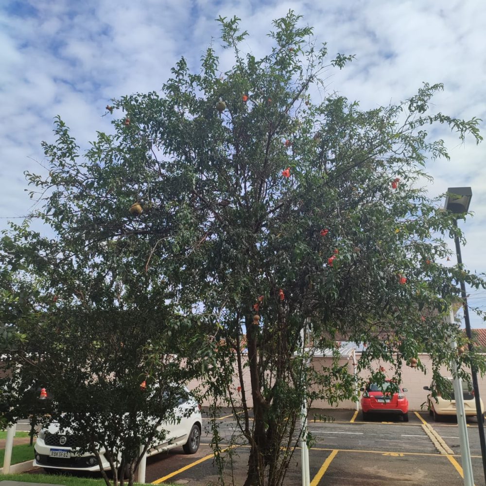 WhatsApp-Image-2025-05-12-at-09.44.06-3-2