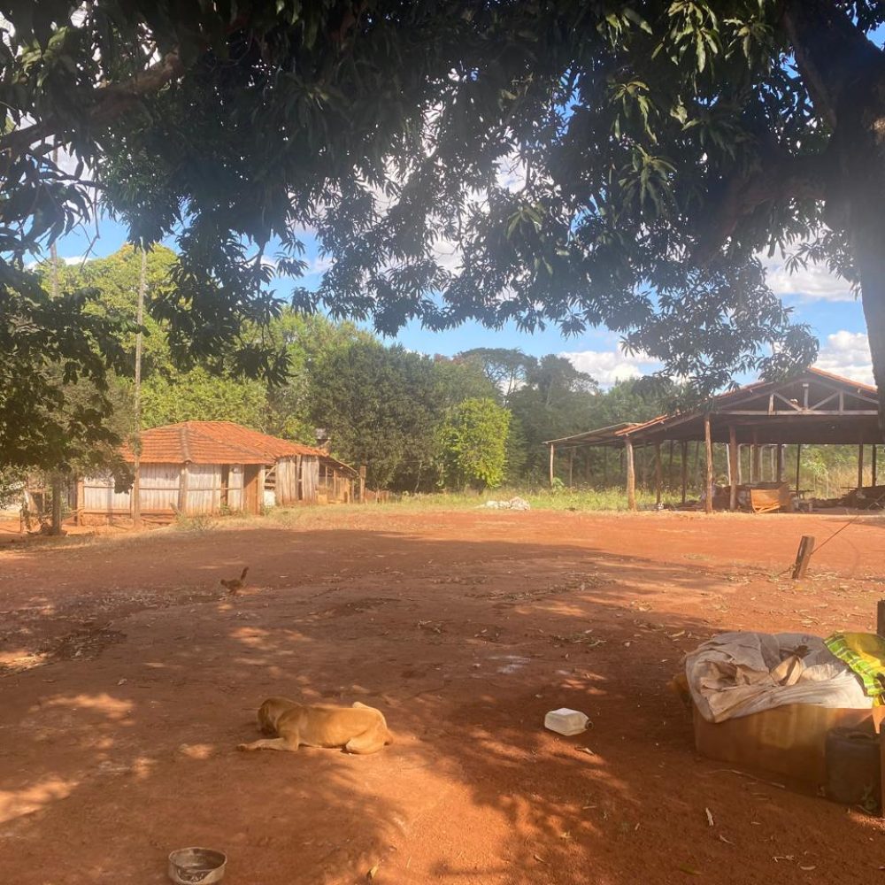 WhatsApp-Image-2025-05-30-at-22.40.23-1