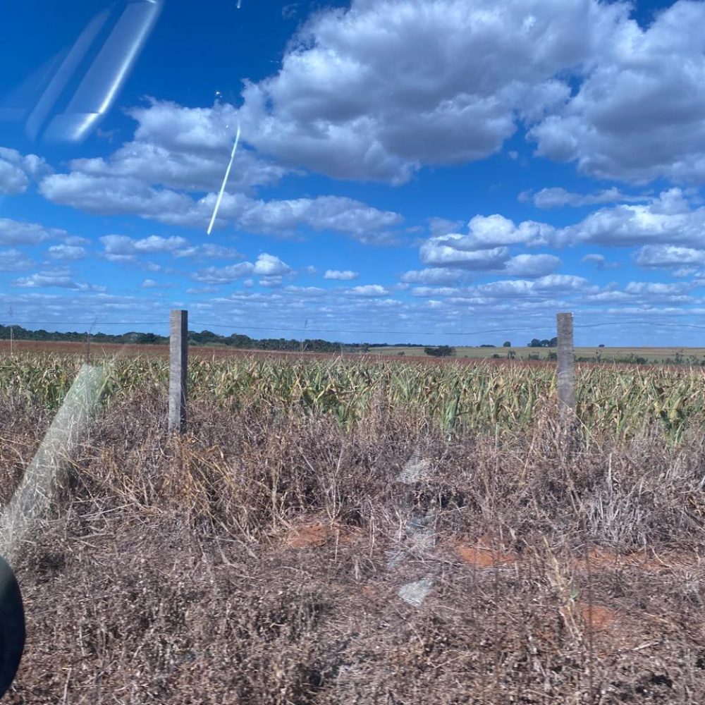 WhatsApp-Image-2025-05-30-at-22.40.23