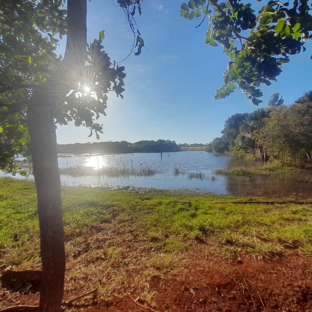 WhatsApp-Image-2025-05-30-at-22.40.24-1