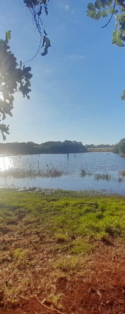 WhatsApp-Image-2025-05-30-at-22.40.24