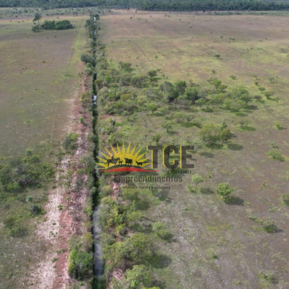 WhatsApp-Image-2025-05-31-at-10.20.08-1-1