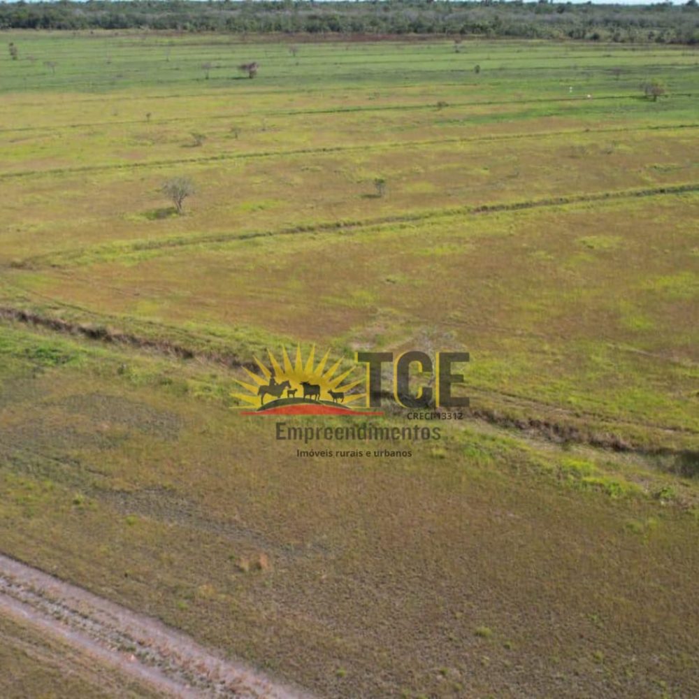 WhatsApp-Image-2025-05-31-at-10.20.08