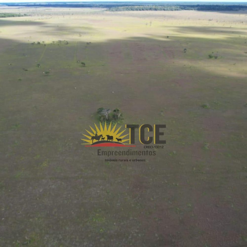 WhatsApp-Image-2025-05-31-at-10.20.09-1