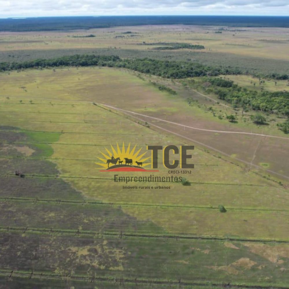 WhatsApp-Image-2025-05-31-at-10.20.09